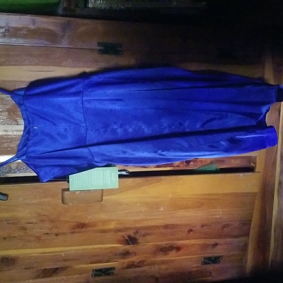 Size 4 Formal Dress NWT - Picture 4 of 8